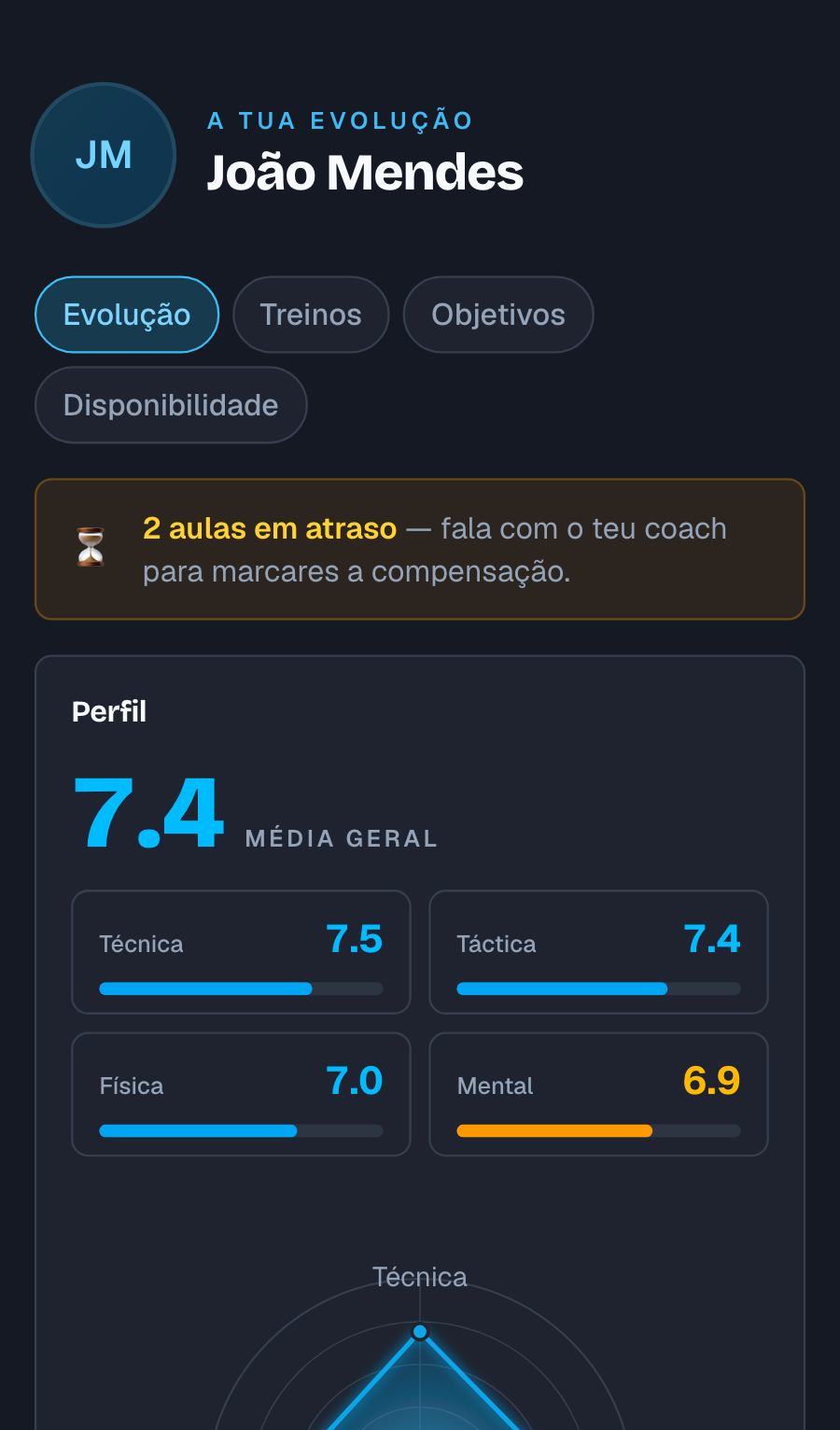 A página do jogador no telemóvel, com o nível e as quatro categorias